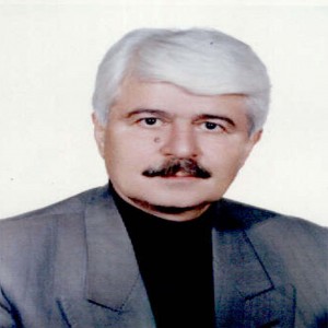 محمد حیدری تبریزی